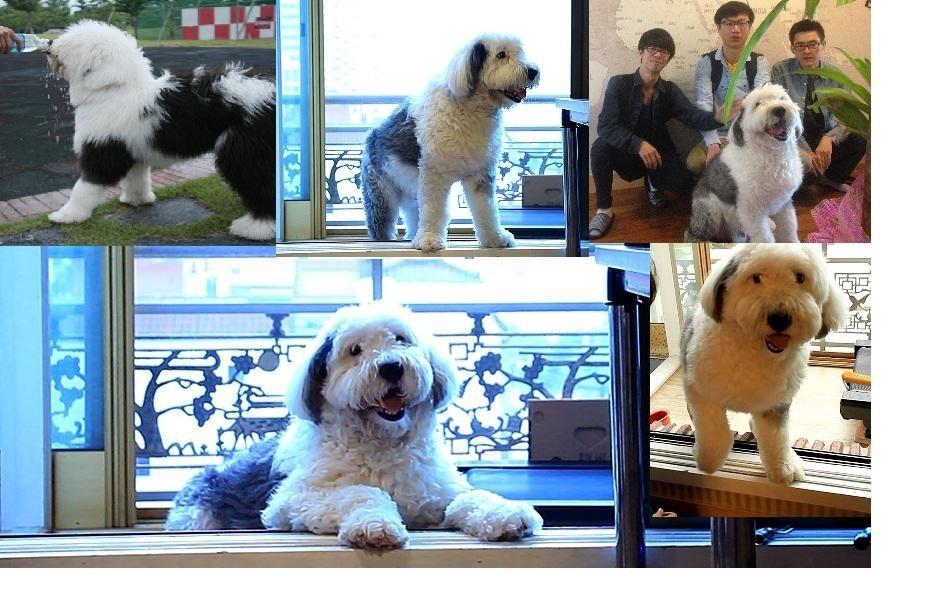 Champ Hostel Busan Ngoại thất bức ảnh